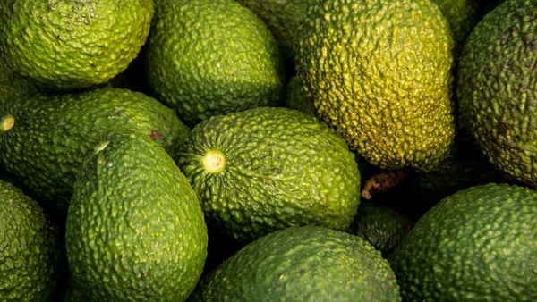 avocats